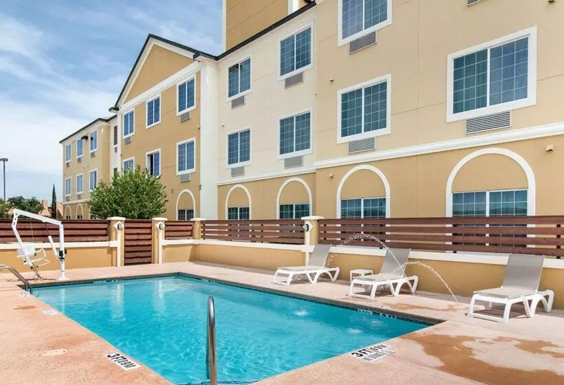 ホテル Comfort Suites