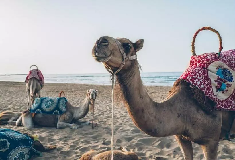 호텔 Iberostar Waves Saidia