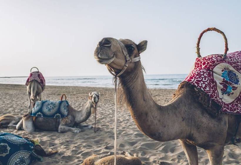 فندق Iberostar Waves Saidia