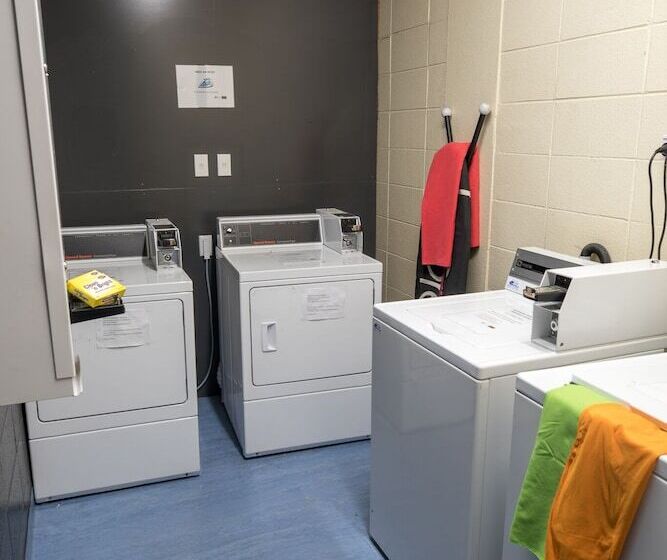 호텔 Rock Solid Backpackers Rotorua