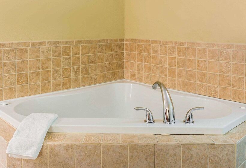 Отель Rodeway Inn