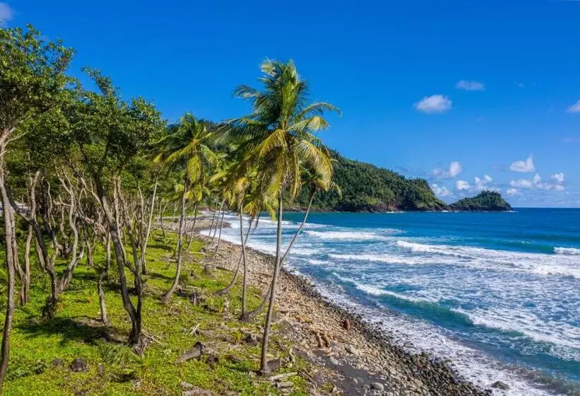 هتل Rosalie Bay Eco Resort & Spa