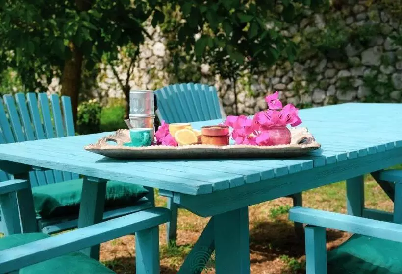 Maaseutuhotelli Agriturismo Fattoria Terranova