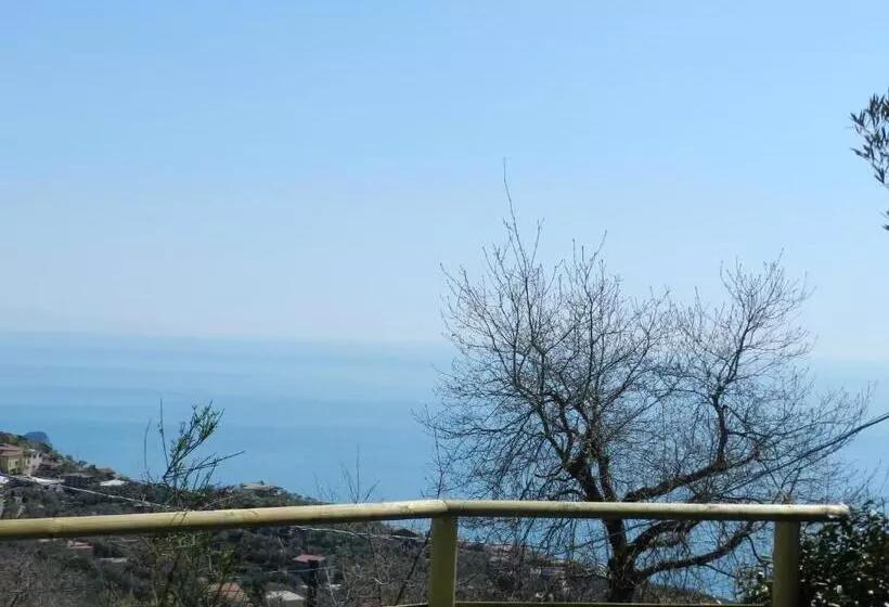 Maaseutuhotelli Agriturismo Fattoria Terranova