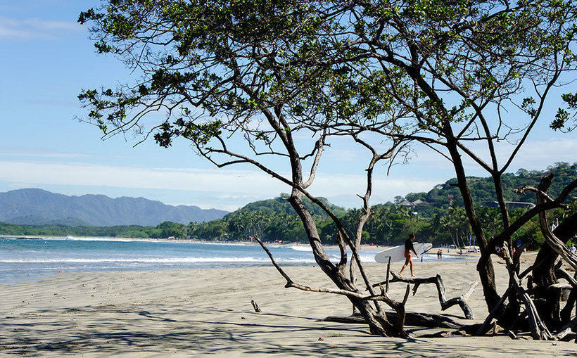 فندق Tamarindo Blue Apartments