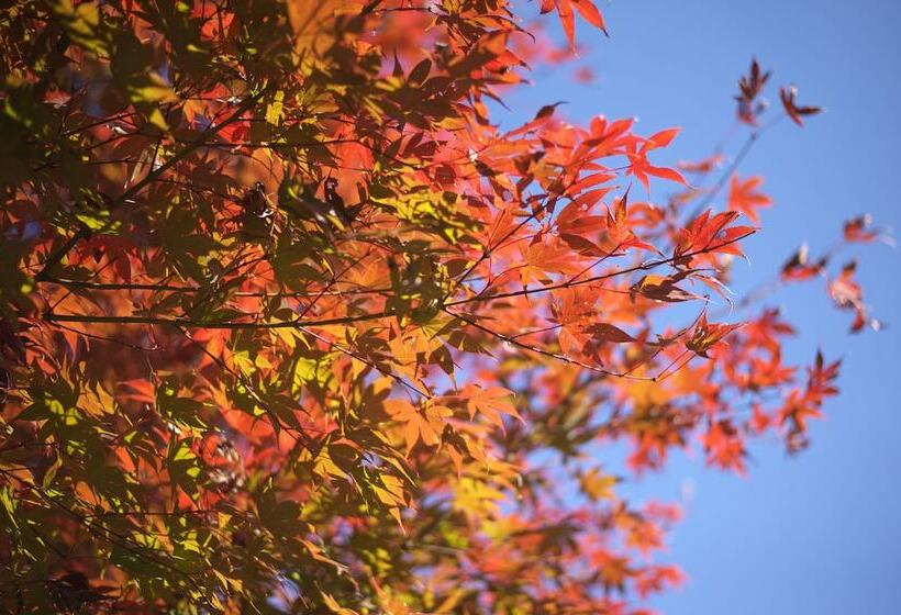 日式旅馆 Mashikokan Satoyama Resort