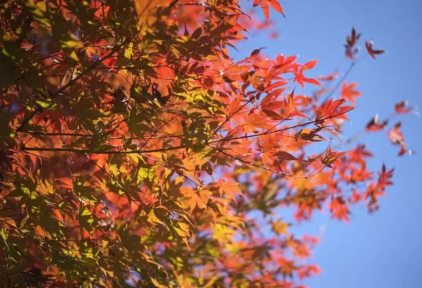 Ryokan Mashikokan Satoyama Resort