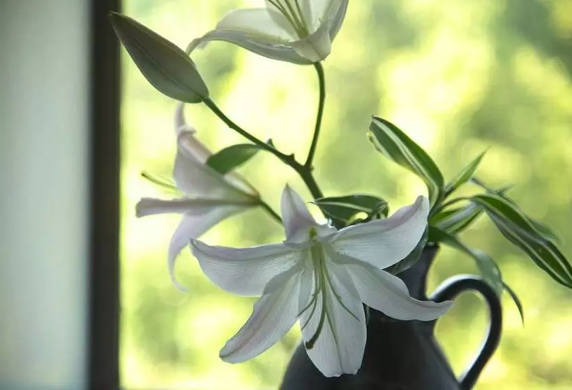 Ryokan Mashikokan Satoyama Resort