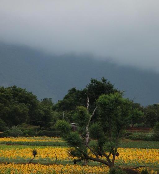 Vividearth Resorts Bandipur