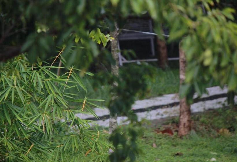 Vividearth Resorts Bandipur