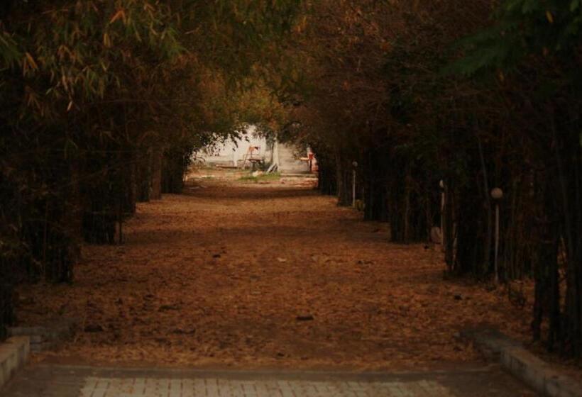 Vividearth Resorts Bandipur