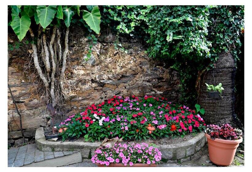 تختخواب و صبحانه Casa D'aurora