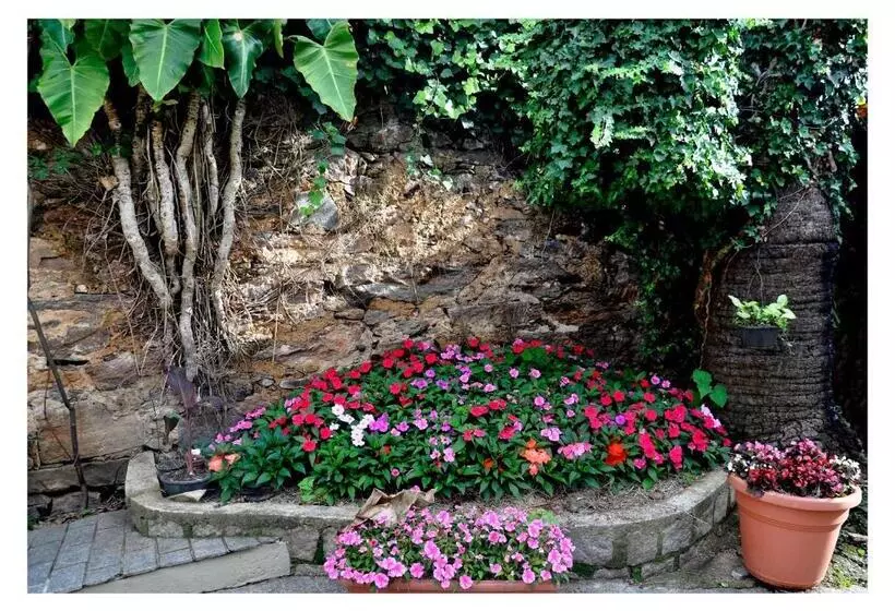 Aamiaismajoitus (B&B) Casa D'aurora