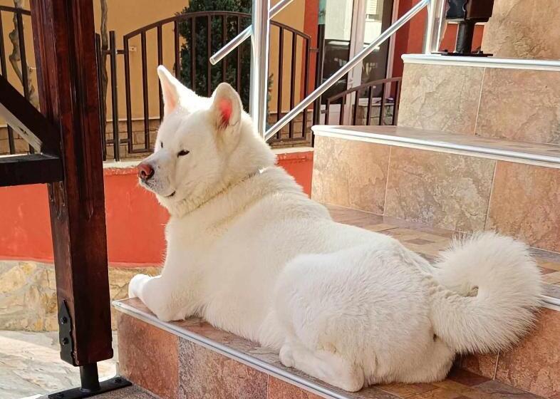 فندق виктория созопол