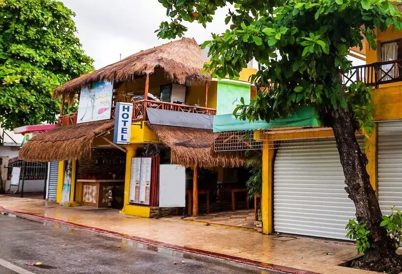 ホテル Oyo  Playa Del Carmen