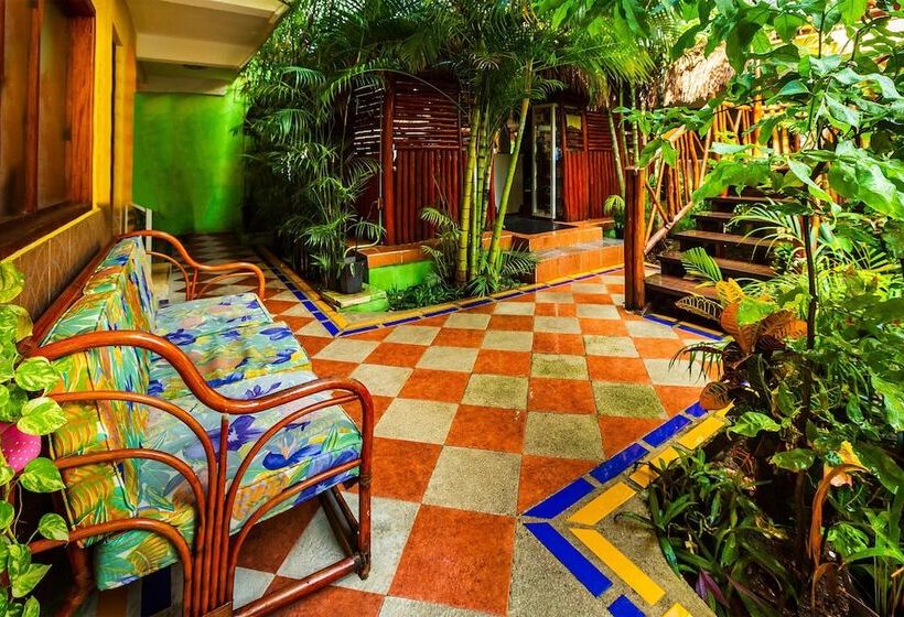 Отель Oyo  Playa Del Carmen