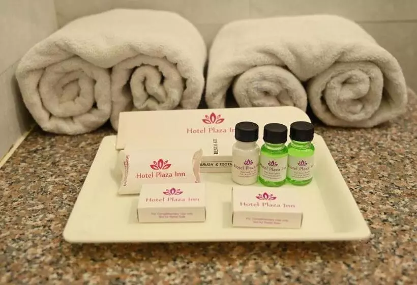 Hotelli Plaza Inn, Ajmer