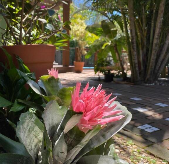 Пансион Pousada Da Praia