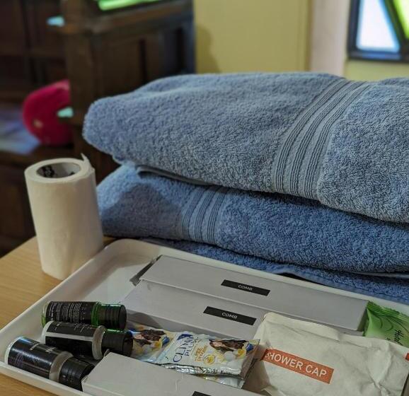 پانسیون Sadar Haveli Heritage