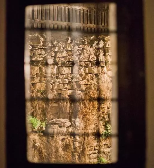 پانسیون The Lion's Residence