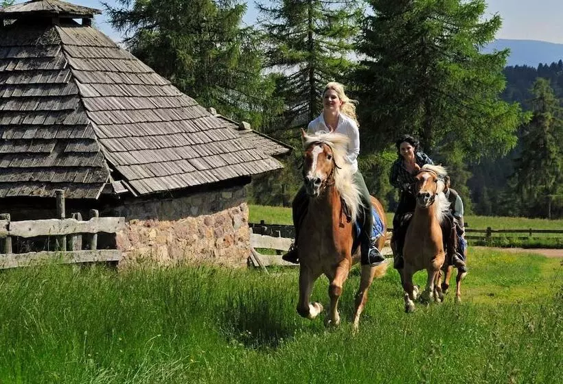 ホテル Tschogglbergerhof