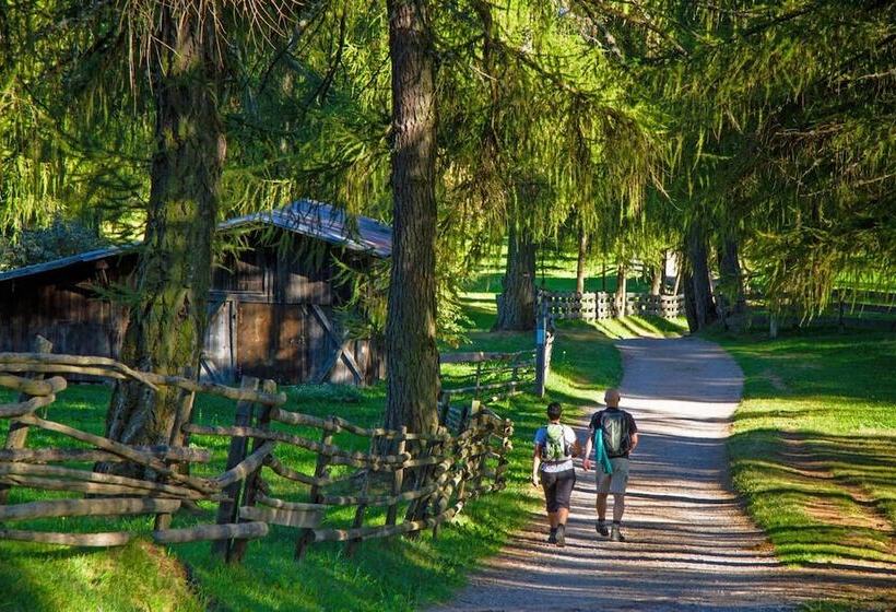 Отель Tschogglbergerhof