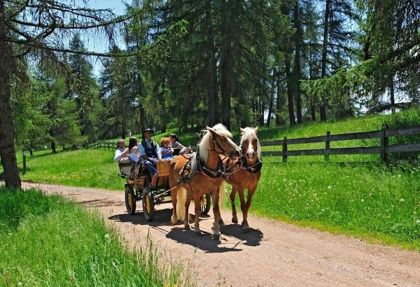 Отель Tschogglbergerhof