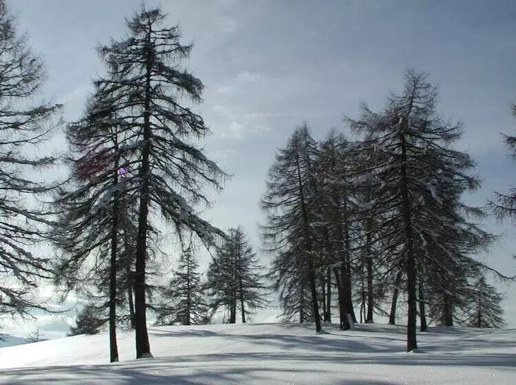 ホテル Tschogglbergerhof