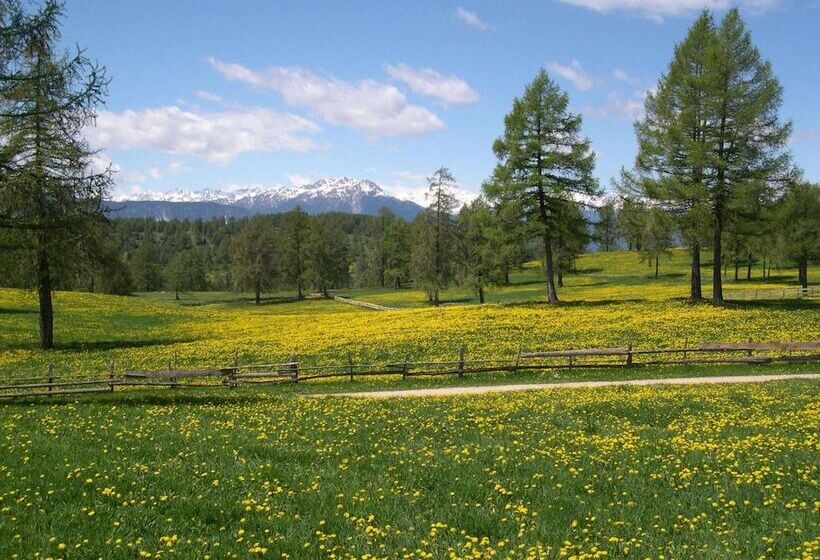 Отель Tschogglbergerhof