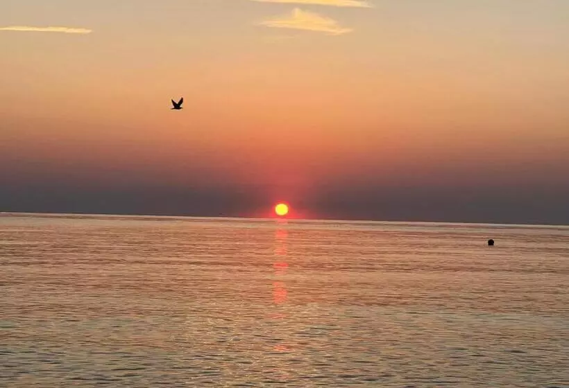 ホテル Complex Relax Pomorie All Inclusive