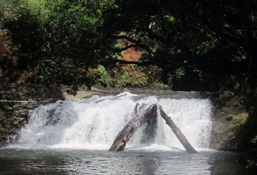 Hotel Waterfall Hostel