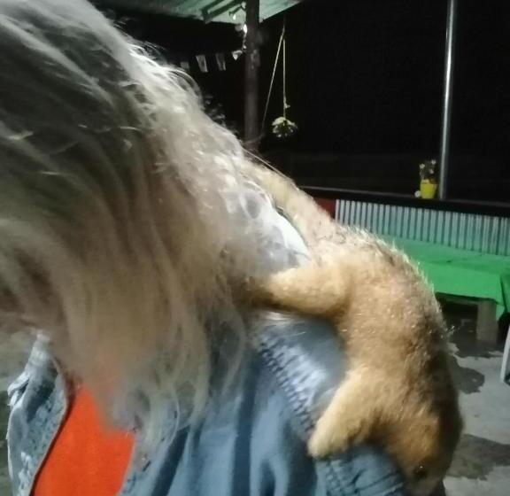 Hotel Waterfall Hostel