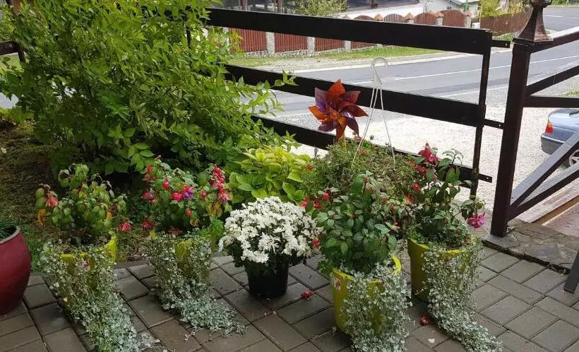 تختخواب و صبحانه Apartamente Private A&l View