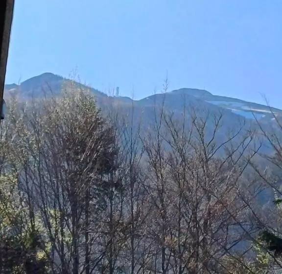 تختخواب و صبحانه Apartamente Private A&l View