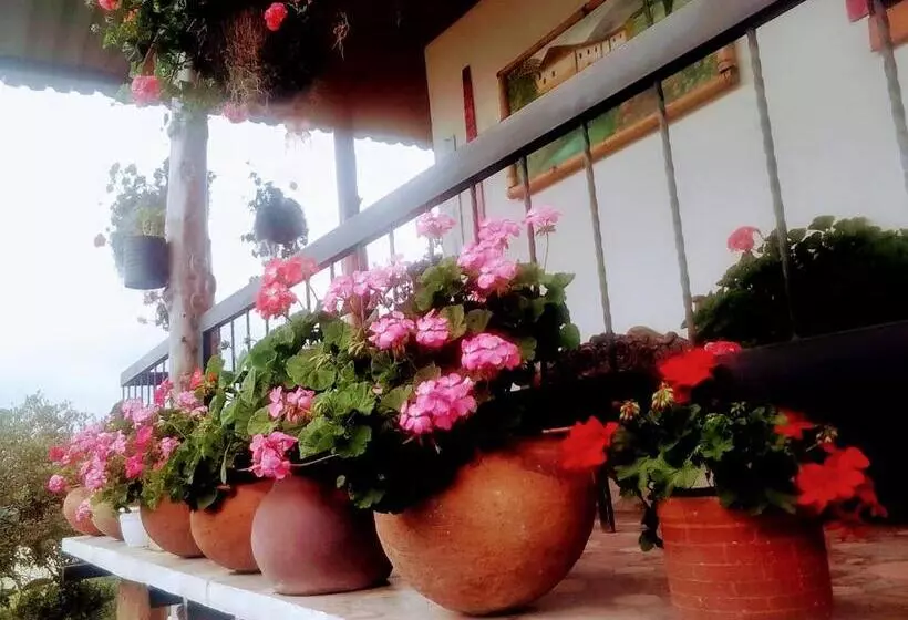 ベッドアンドブレックファースト Finca Renacer