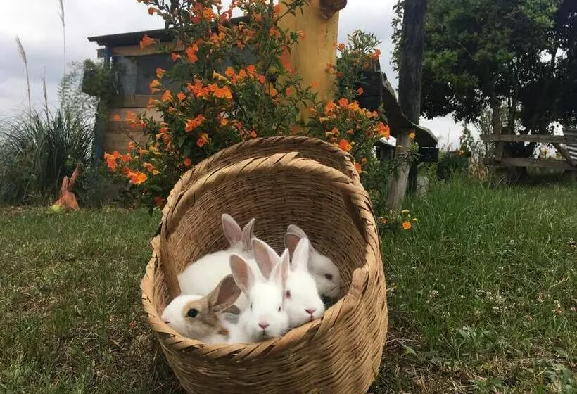 ベッドアンドブレックファースト Finca Renacer