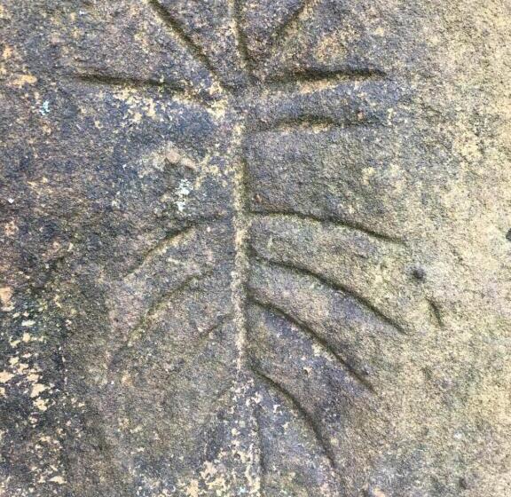 צימר Finca Renacer