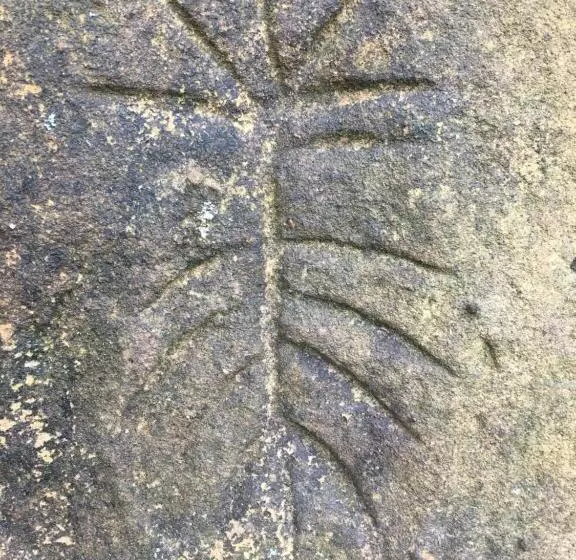 ベッドアンドブレックファースト Finca Renacer