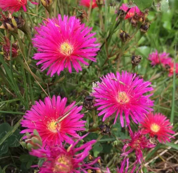 ベッドアンドブレックファースト Finca Renacer