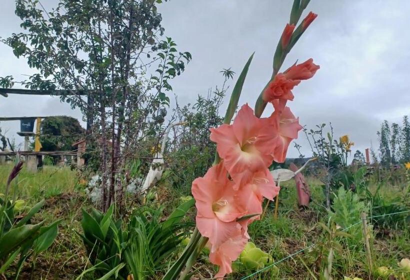 צימר Finca Renacer