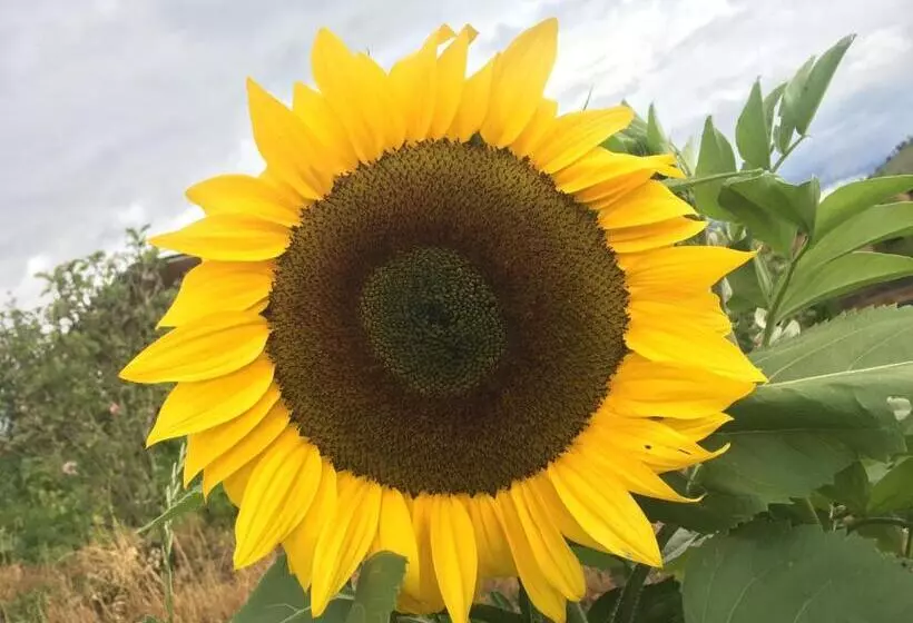 ベッドアンドブレックファースト Finca Renacer