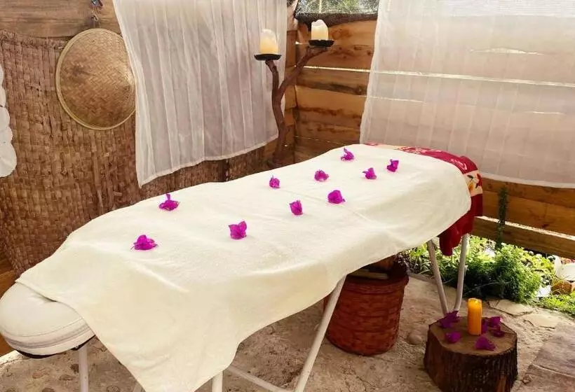 ベッドアンドブレックファースト Finca Renacer