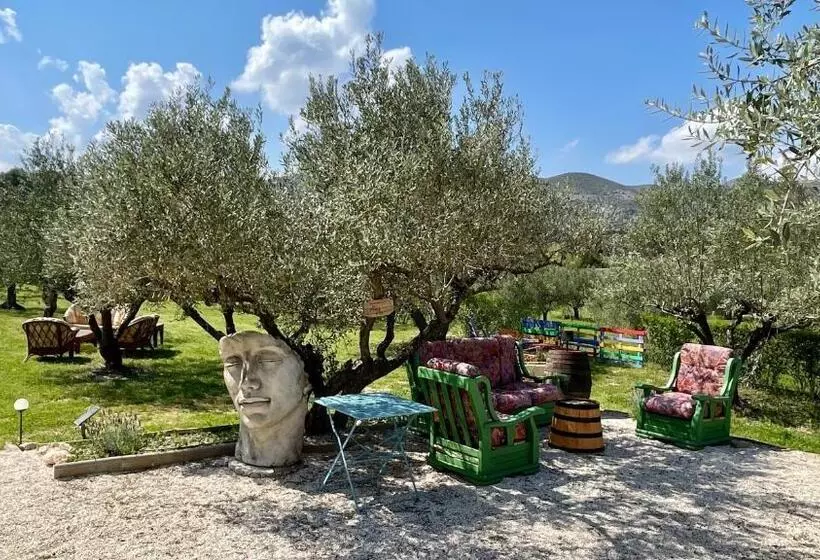 Finca La Higuera   Boutique B&b