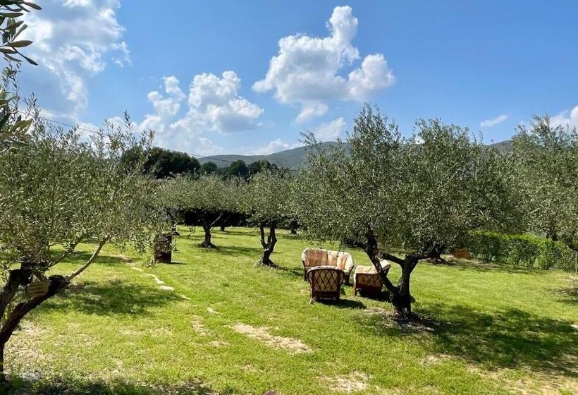 Finca La Higuera   Boutique B&b