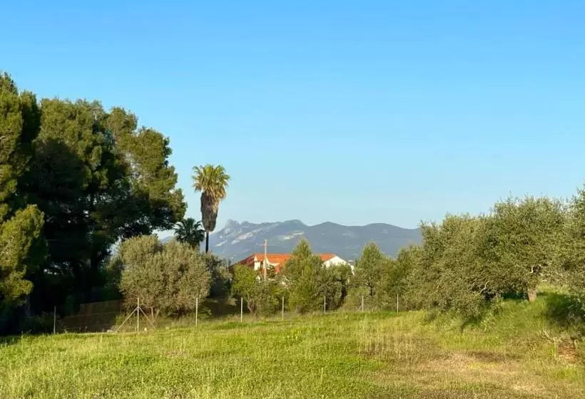 Finca La Higuera   Boutique B&b