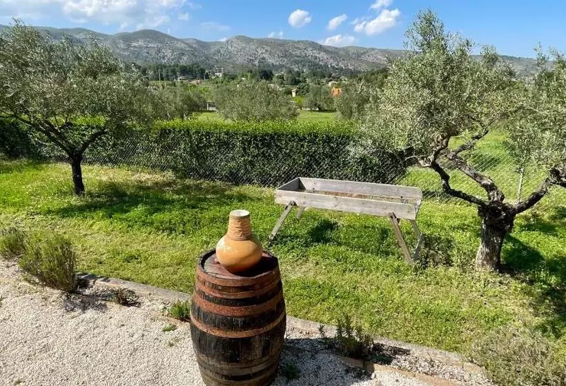 Finca La Higuera   Boutique B&b