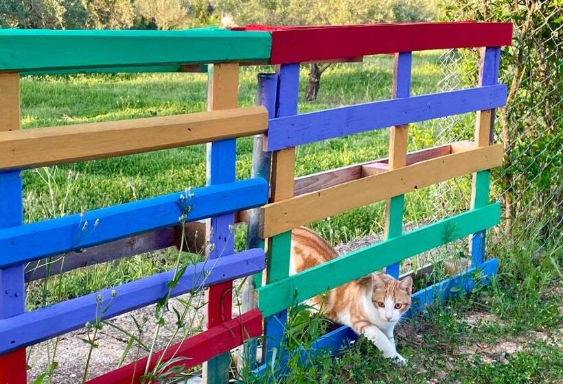 Finca La Higuera   Boutique B&b