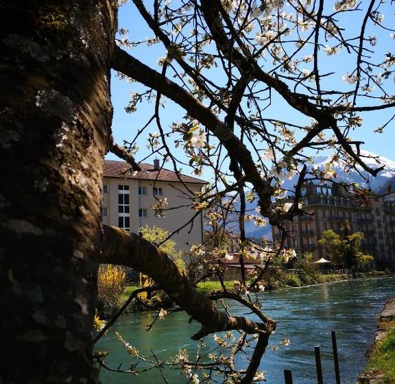 Unteregasse21 Apartments