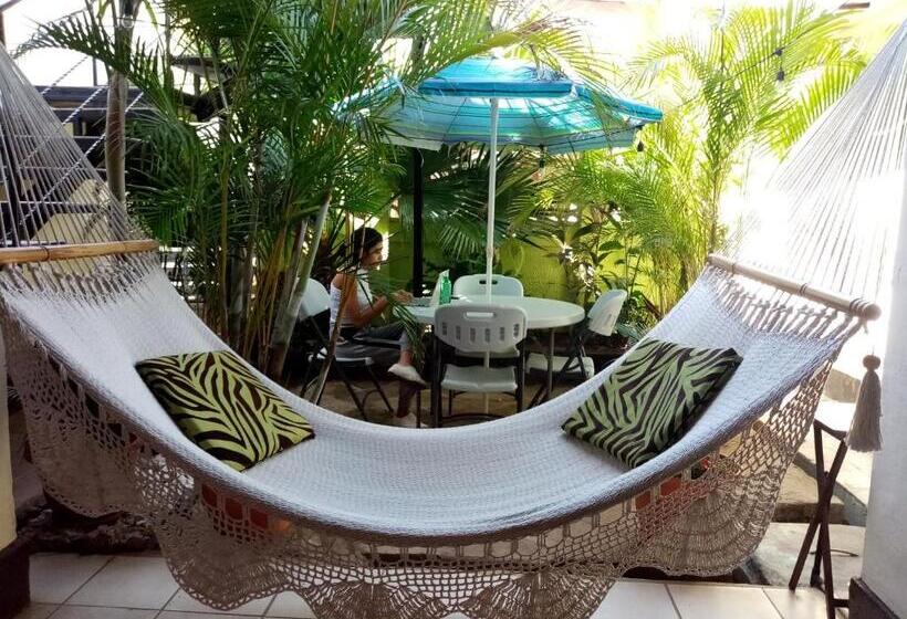 펜션 Cafetín Hostal Rincón Nica