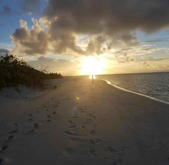 پانسیون Coral Beach Maldives